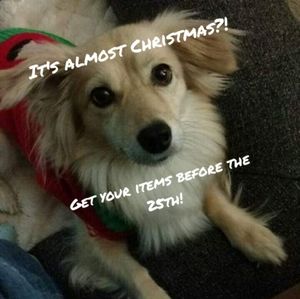 Order by Friday and get it before Christmas!